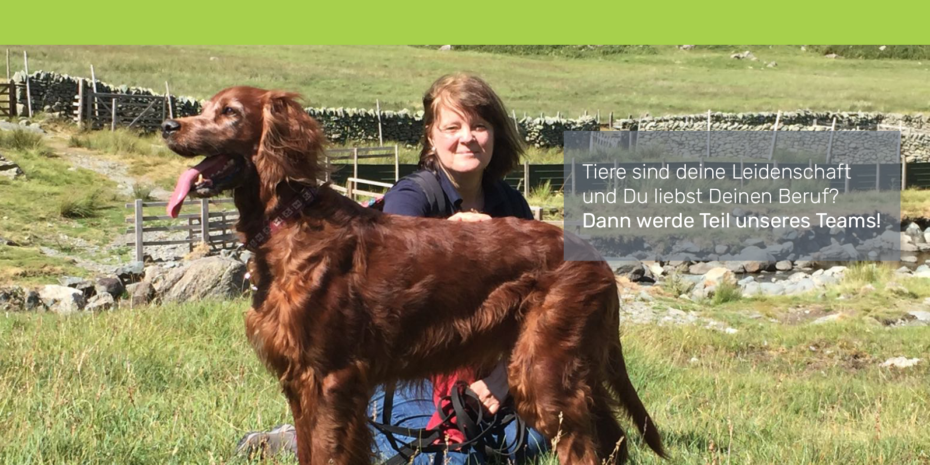 Teaserbild Kleintierpraxis im Alten Stadtgut