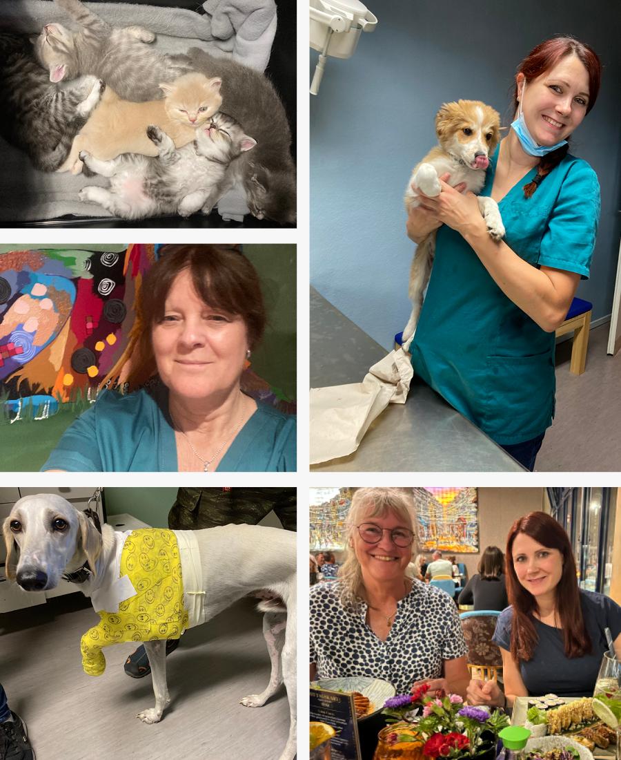 Kleintierpraxis im Alten Stadtgut - unsere Vision